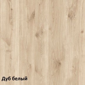 Эйп Шкаф для одежды 13.334 в Ялуторовске - jalutorovsk.mebel-74.com | фото