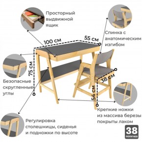 Комплект растущий стол и стул с чехлом 38 попугаев «Вуди» (Серый, Береза, Серый) в Ялуторовске - jalutorovsk.mebel-74.com | фото