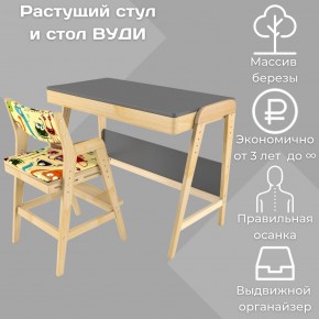 Комплект растущий стол и стул с чехлом 38 попугаев «Вуди» (Серый, Без покрытия, Монстры) в Ялуторовске - jalutorovsk.mebel-74.com | фото