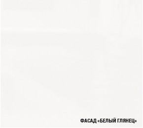 ТЕРЦИЯ Кухонный гарнитур Экстра 5 (3000 мм) в Ялуторовске - jalutorovsk.mebel-74.com | фото